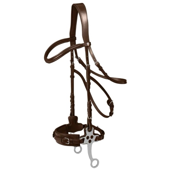 Brown Horse hackamore Bridle waldhausen - Picture 2 of 9